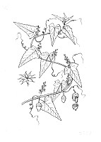 J1262.jpg J1262.jpg
