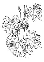 J1265.jpg J1265.jpg