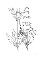 J1273.jpg J1273.jpg