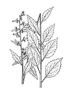 J1281.jpg J1281.jpg