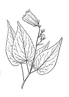 J1288.jpg J1288.jpg