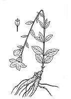 J1290.jpg J1290.jpg