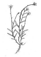 J1291.jpg J1291.jpg