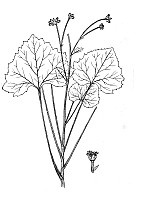 J1298.jpg J1298.jpg