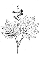 J1299.jpg J1299.jpg