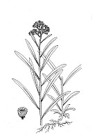 J1301.jpg J1301.jpg