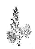 J1310.jpg J1310.jpg