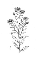 J1342.jpg J1342.jpg