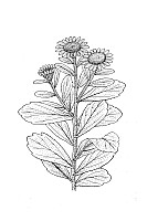 J1347.jpg J1347.jpg