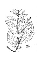 J1369.jpg J1369.jpg