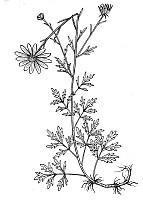 J1387.jpg J1387.jpg