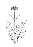 J1405.jpg J1405.jpg