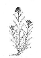 J1414.jpg J1414.jpg