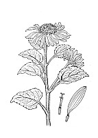 J1416.jpg J1416.jpg