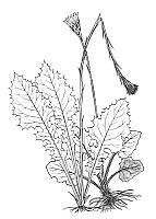 J1423.jpg J1423.jpg