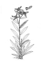 J1425.jpg J1425.jpg