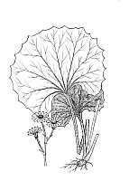 J1433.jpg J1433.jpg