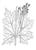 J1435.jpg J1435.jpg