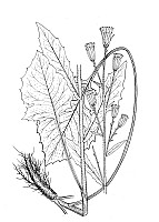 J1439.jpg J1439.jpg