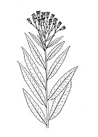 J1472.jpg J1472.jpg