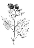 J1481.jpg J1481.jpg