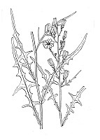 J1487.jpg J1487.jpg