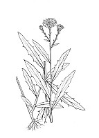 J1489.jpg J1489.jpg