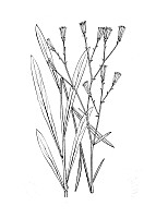 J1490.jpg J1490.jpg