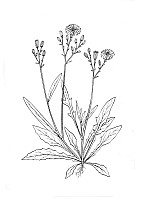 J1491.jpg J1491.jpg