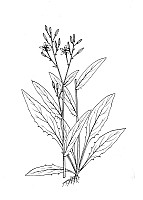 J1492.jpg J1492.jpg