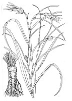 J1506.jpg J1506.jpg