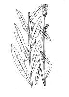 J1510.jpg J1510.jpg