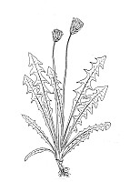 J1512.jpg J1512.jpg