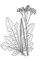 J1514.jpg J1514.jpg