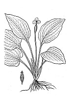 J1516.jpg J1516.jpg
