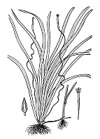 J1517.jpg J1517.jpg