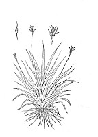 J1518.jpg J1518.jpg