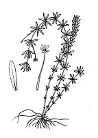 J1520.jpg J1520.jpg