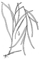 J1523.jpg J1523.jpg