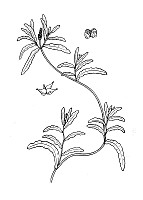 J1525.jpg J1525.jpg