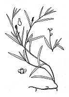 J1530.jpg J1530.jpg