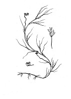 J1533.jpg J1533.jpg
