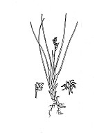 J1534.jpg J1534.jpg