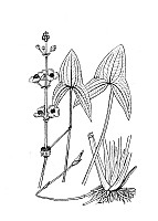 J1541.jpg J1541.jpg