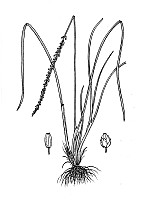 J1542.jpg J1542.jpg