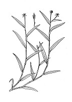 J1562.jpg J1562.jpg