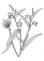J1563.jpg J1563.jpg