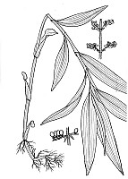 J1565.jpg J1565.jpg