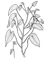 J1566.jpg J1566.jpg