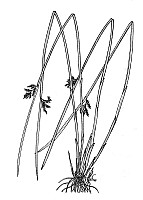 J1571.jpg J1571.jpg